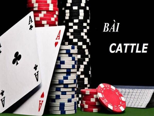 So sánh Thắng Tùng với Thắng Trắng Catte?